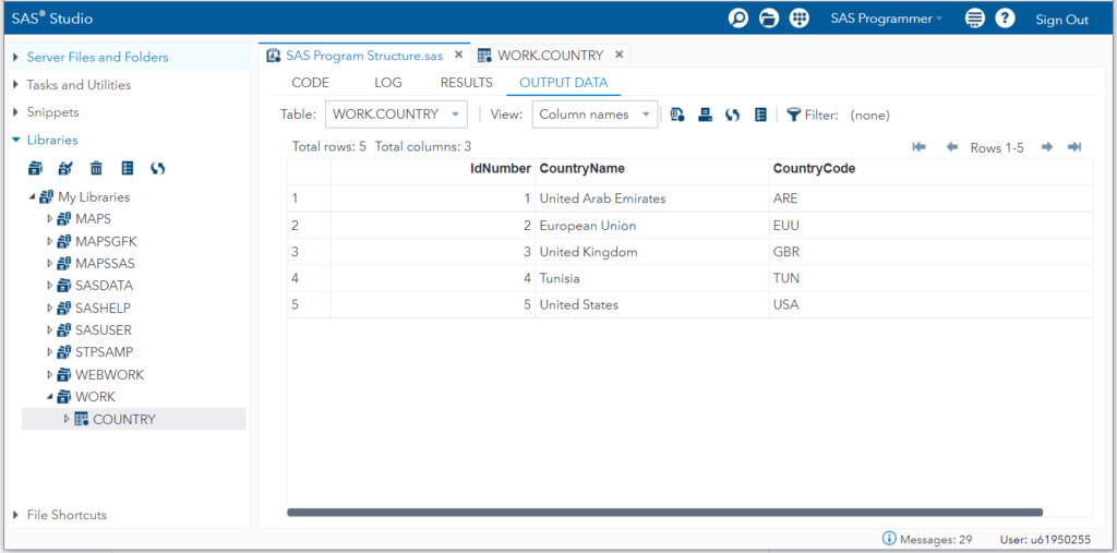 SAS Program structure - DATA step output