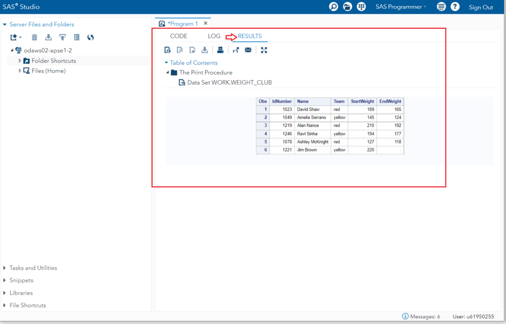 SAS Studio Overview - Results window