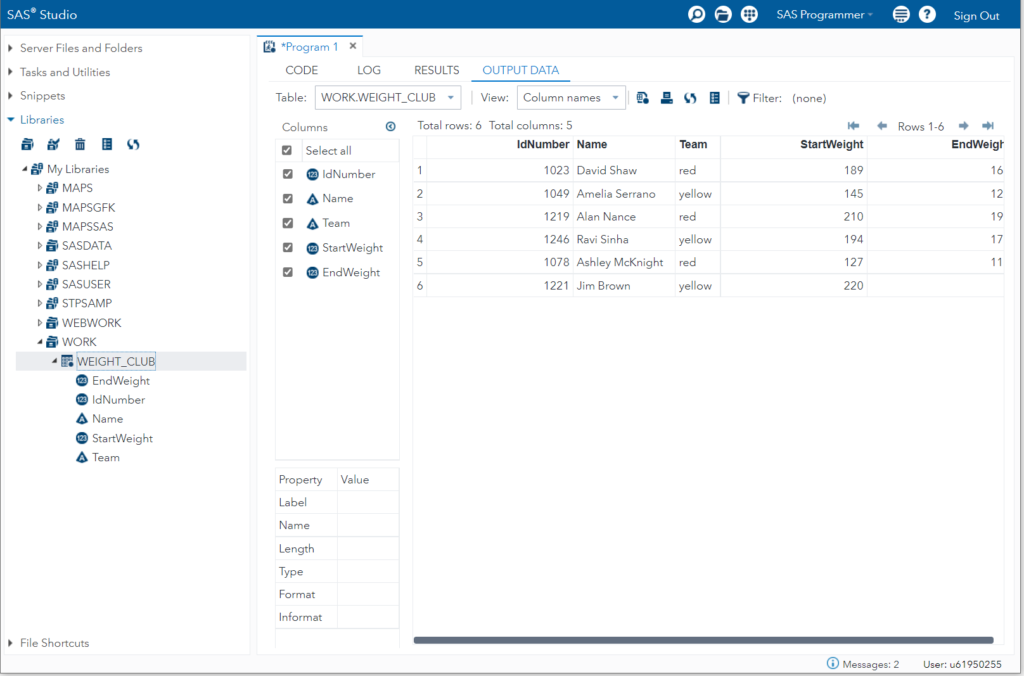 SAS studio work area user interface