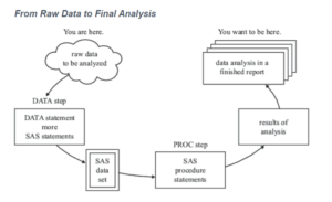 SAS Program Structure (DATA Step, PROC Step, & Output Step) - Learn SAS ...