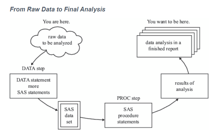 raw data to final analysis - SAS Programming Structure
