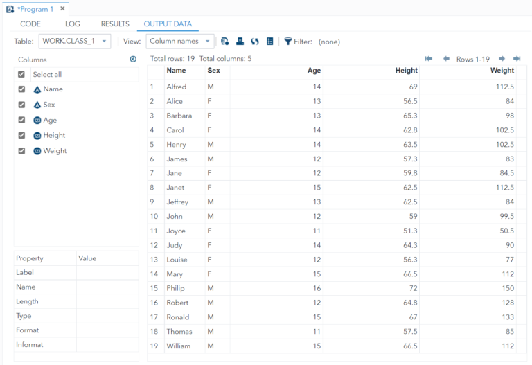 how-to-delete-datasets-in-sas-3-simple-ways-learn-sas-code