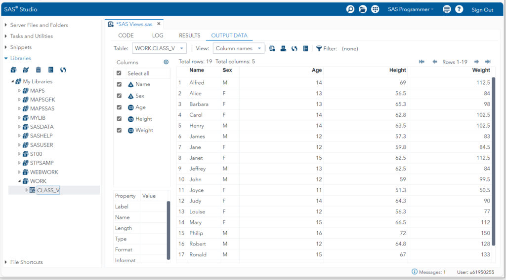 Create Demo SAS View