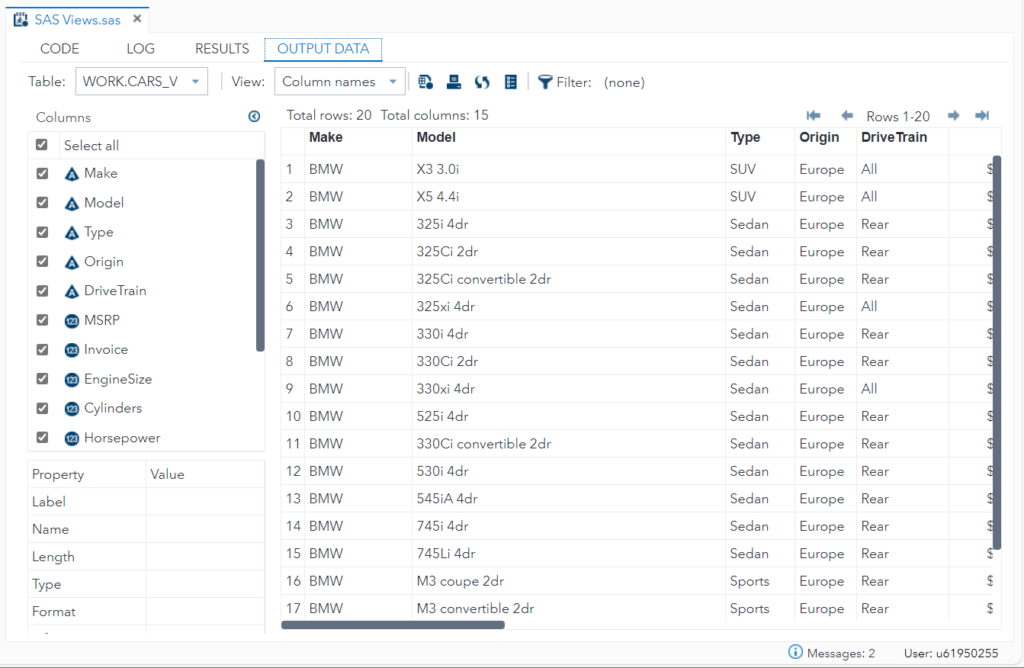 SAS Data Step View