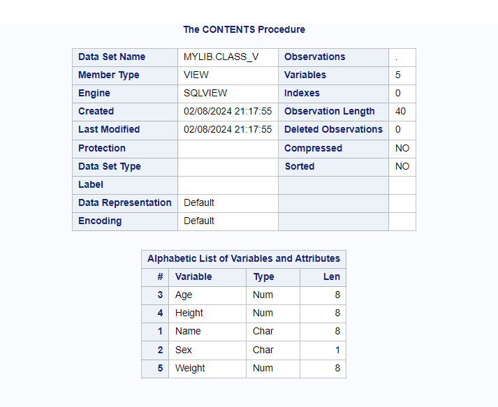 SAS View Descriptor Portion Information